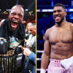 Malik Scott parla di Joshua vs Wilder